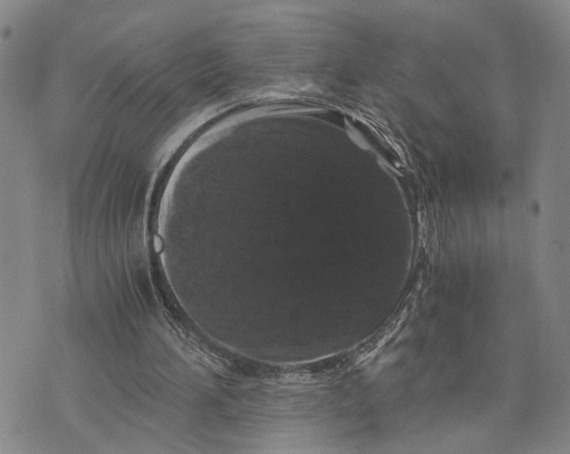 X0000076270196200610191748