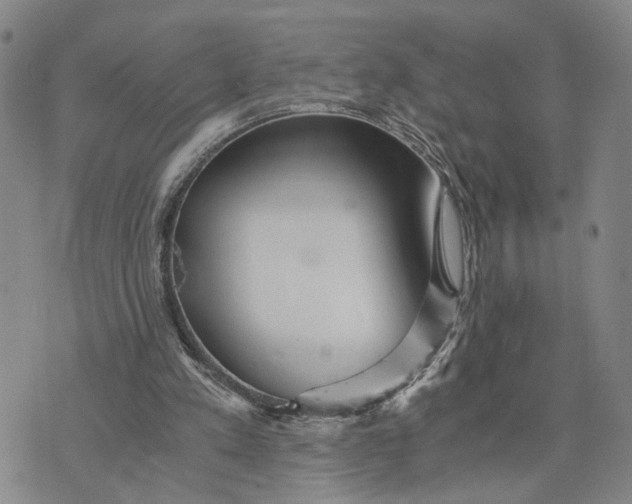 X0000076270197200610191748