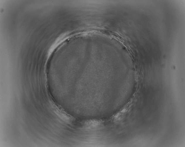 X0000076270198200610191748