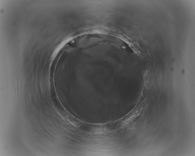 X0000076270200200610191748