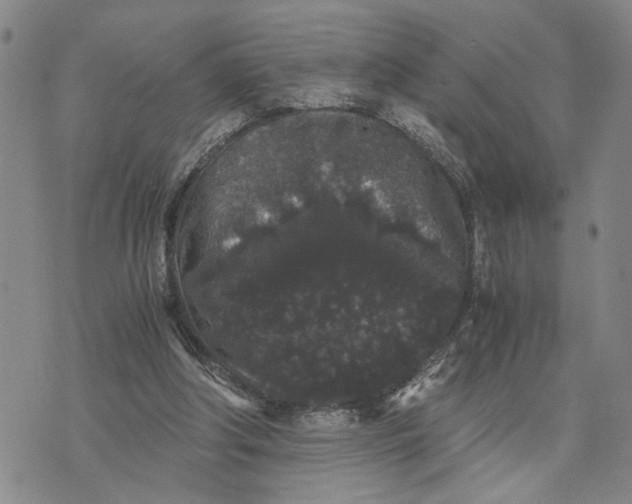 X0000076270202200610191748