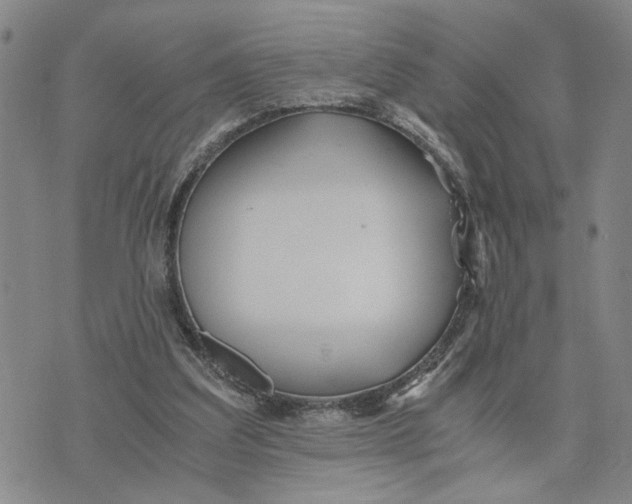 X0000076270203200610191748