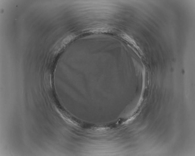 X0000076270205200610191748