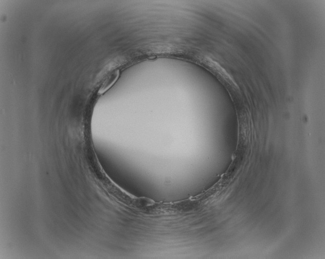 X0000076270207200610191748