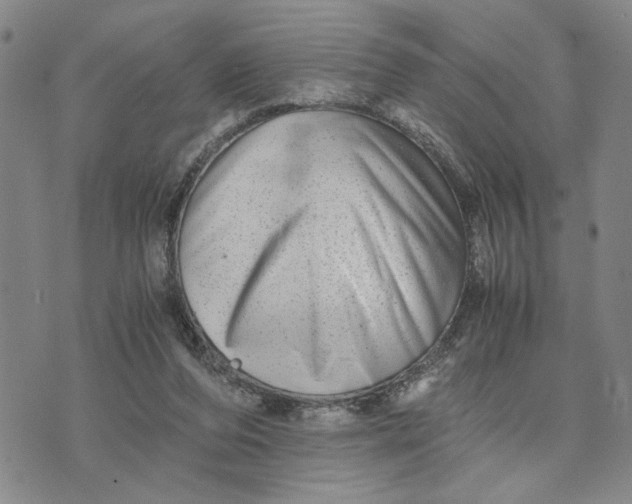 X0000076270208200610191748