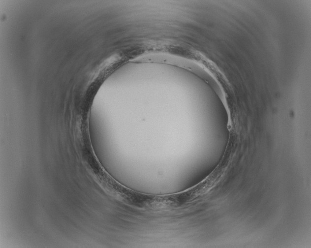 X0000076270209200610191748