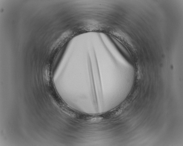 X0000076270210200610191748