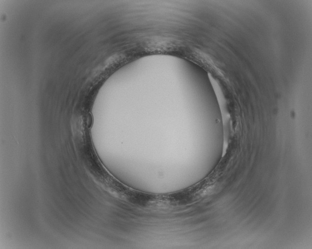 X0000076270211200610191748