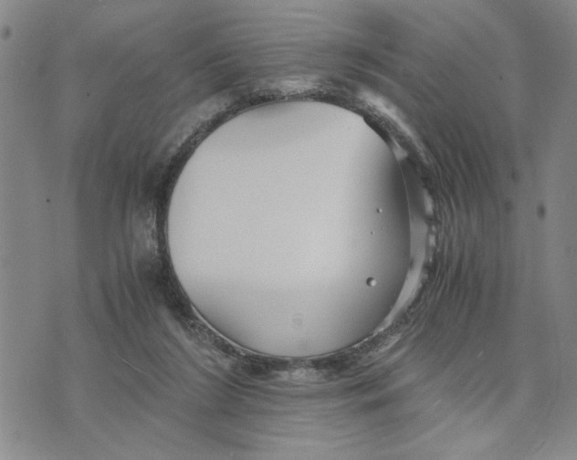 X0000076270212200610191748