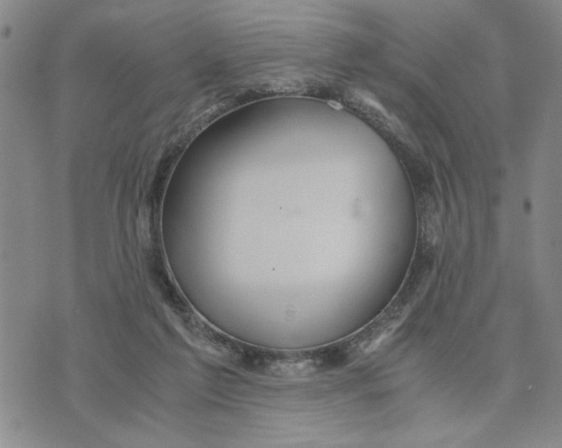 X0000076270213200610191748