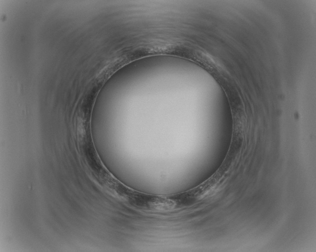 X0000076270215200610191748