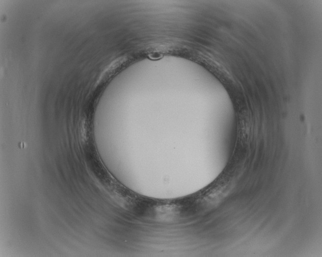 X0000076270216200610191748