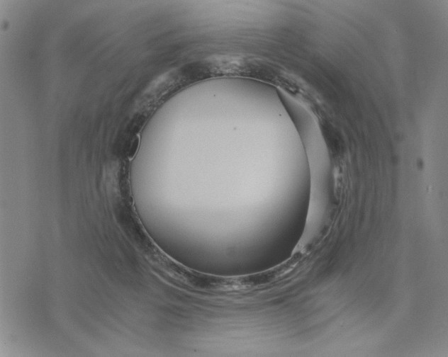 X0000076270217200610191748