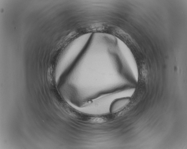 X0000076270218200610191748