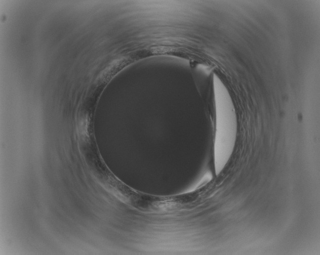 X0000076270219200610191748