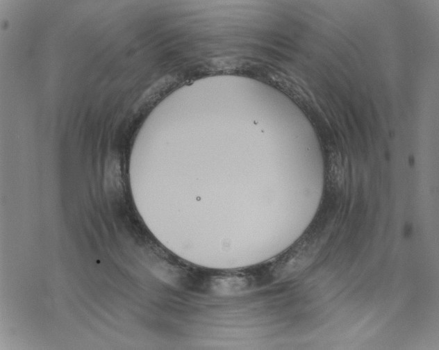 X0000076270220200610191747