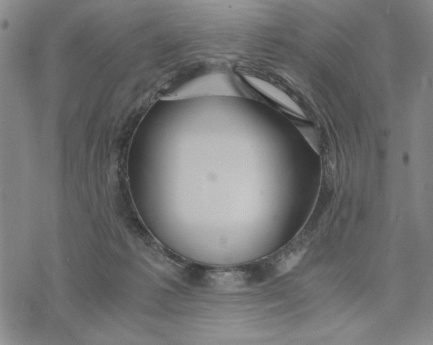 X0000076270221200610191747