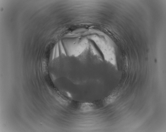 X0000076270222200610191747