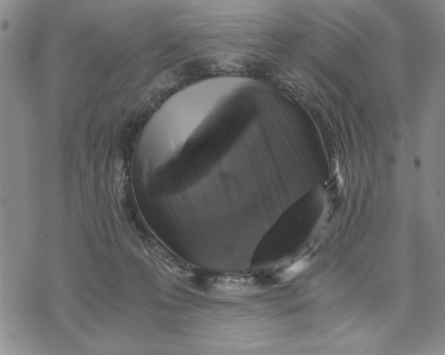 X0000076270223200610191747