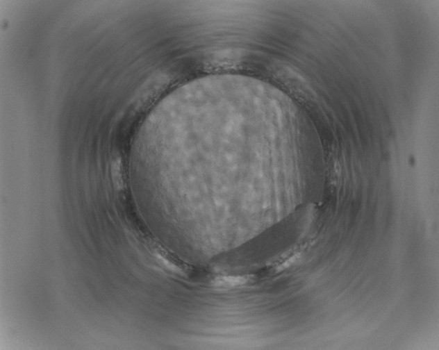 X0000076270224200610191747