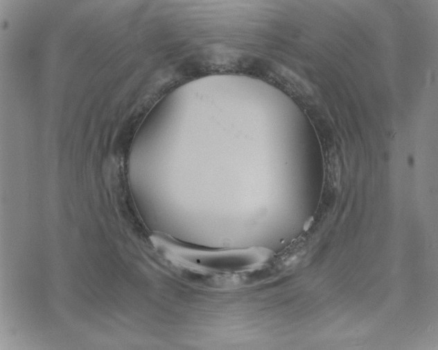 X0000076270225200610191747