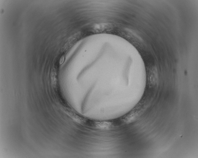 X0000076270226200610191747