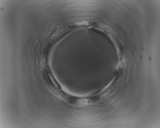 X0000076270227200610191747