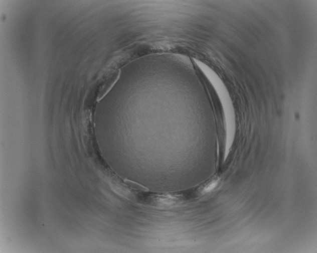 X0000076270229200610191747