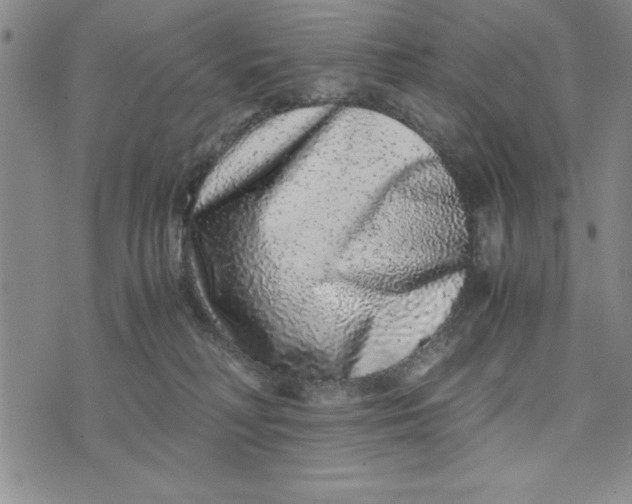 X0000076270230200610191747