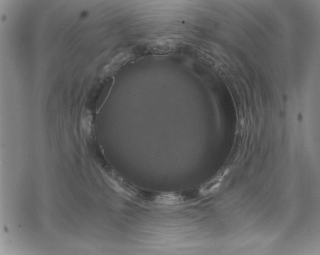 X0000076270231200610191747