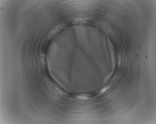 X0000076270232200610191747