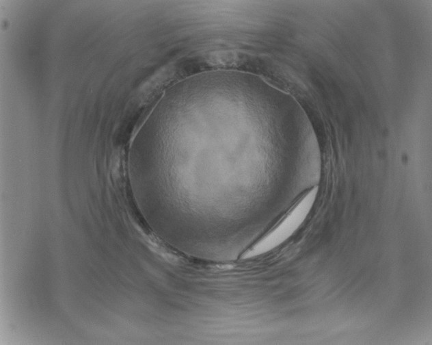 X0000076270233200610191747