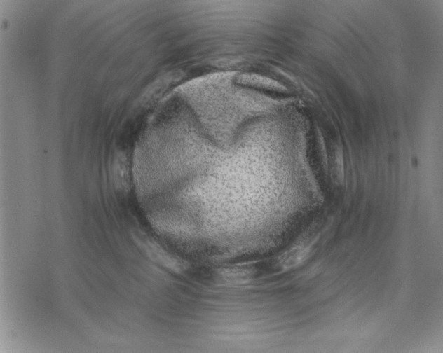 X0000076270234200610191747