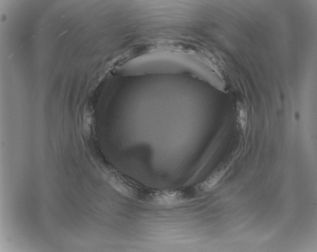 X0000076270235200610191747