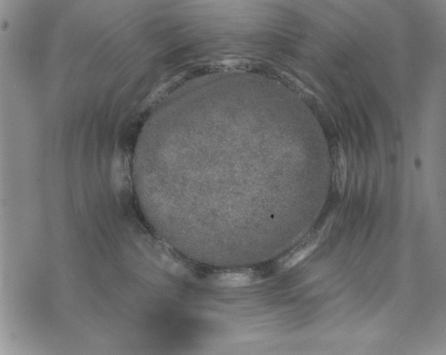 X0000076270236200610191747