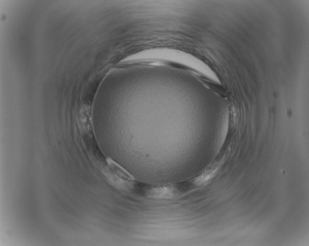 X0000076270237200610191747