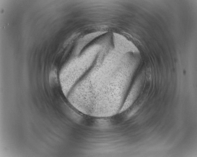 X0000076270238200610191747