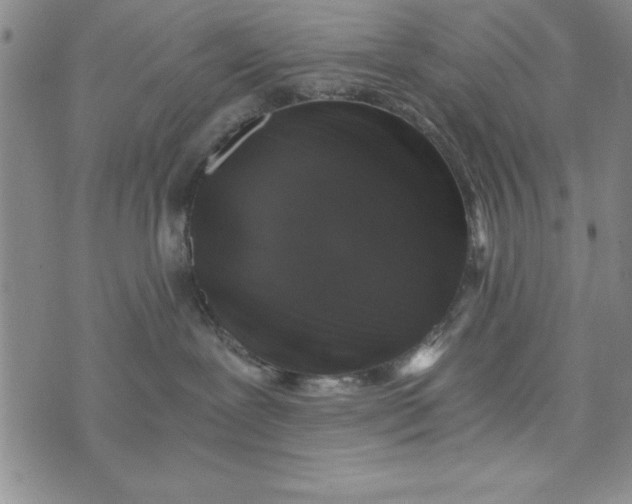 X0000076270239200610191747