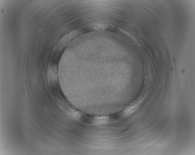 X0000076270240200610191747