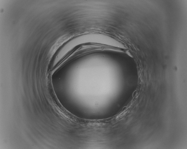 X0000076270242200610191746