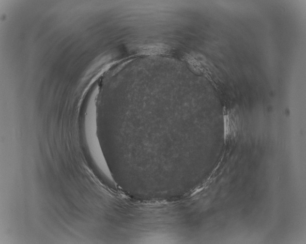 X0000076270243200610191746