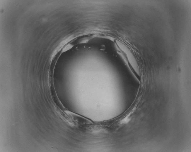 X0000076270244200610191746