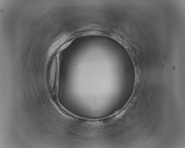 X0000076270245200610191746