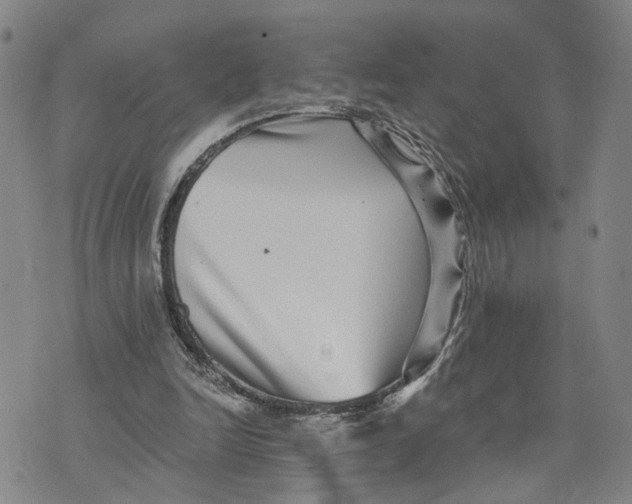 X0000076270246200610191746