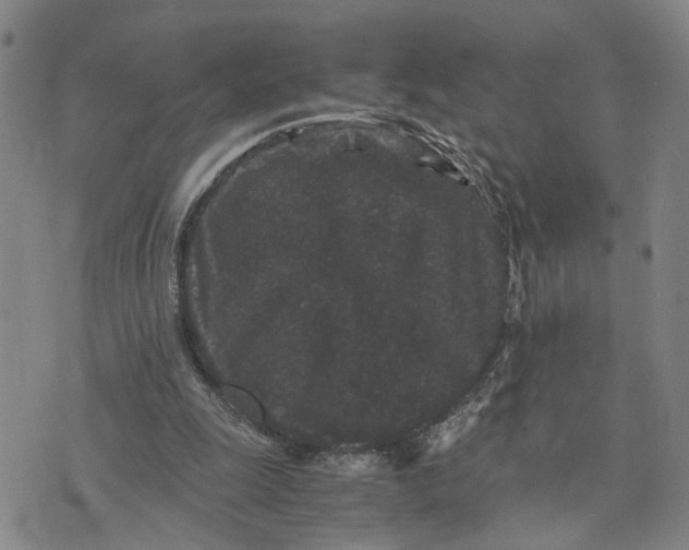 X0000076270247200610191746