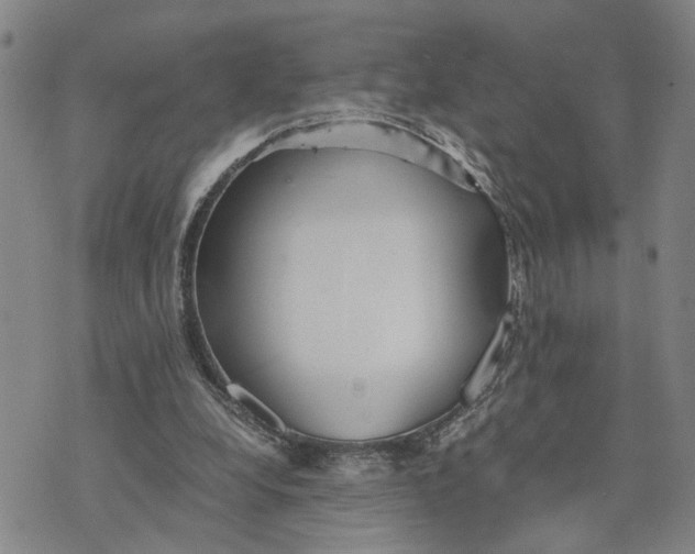 X0000076270248200610191747