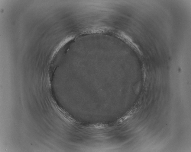 X0000076270250200610191747