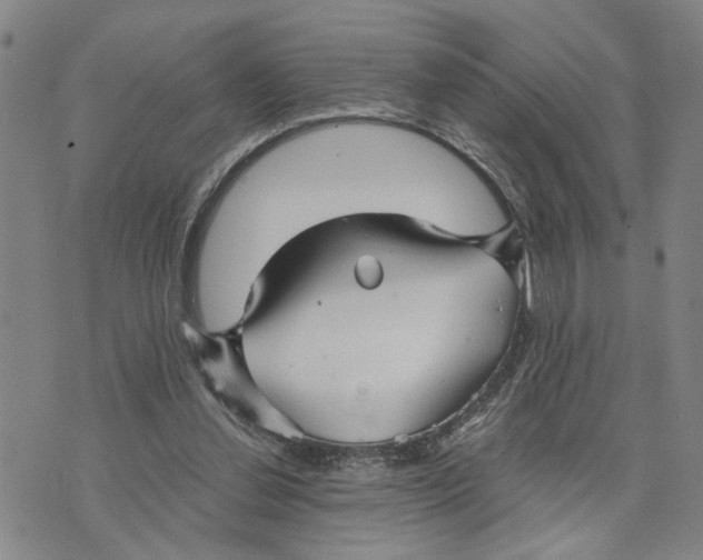 X0000076270252200610191747