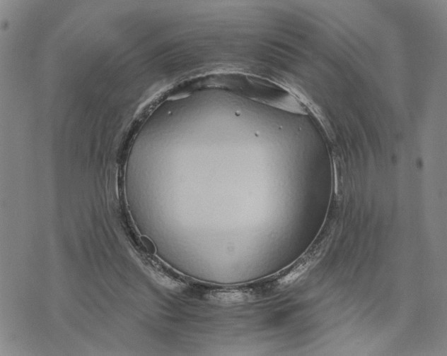 X0000076270253200610191747