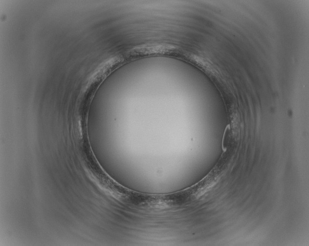 X0000076270254200610191747